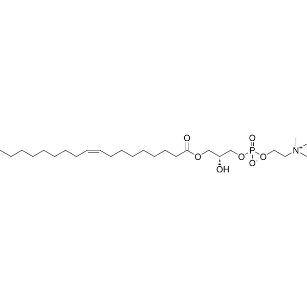 1-Oleoyl-sn-glycero-3-phosphocholine 19420-56-5